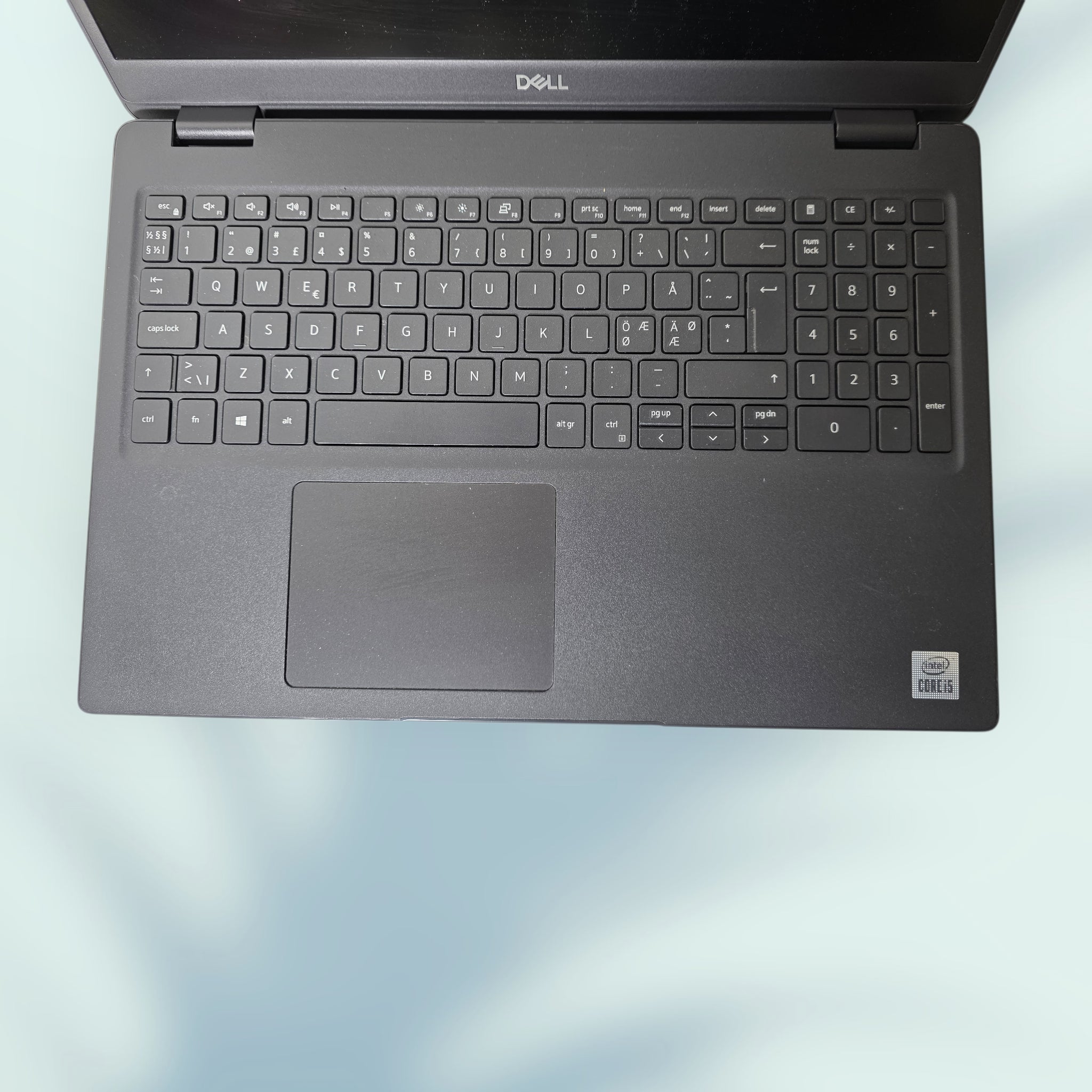 Dell Latitude 3510 (15,6") – i5-10210U, 8GB, 240GB SSD – Kestävä työkone